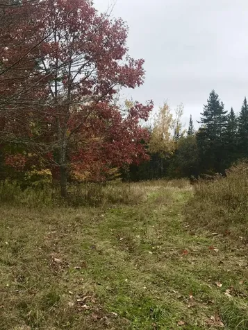 20 Hog Heaven Lane Bucksport ME 04416
