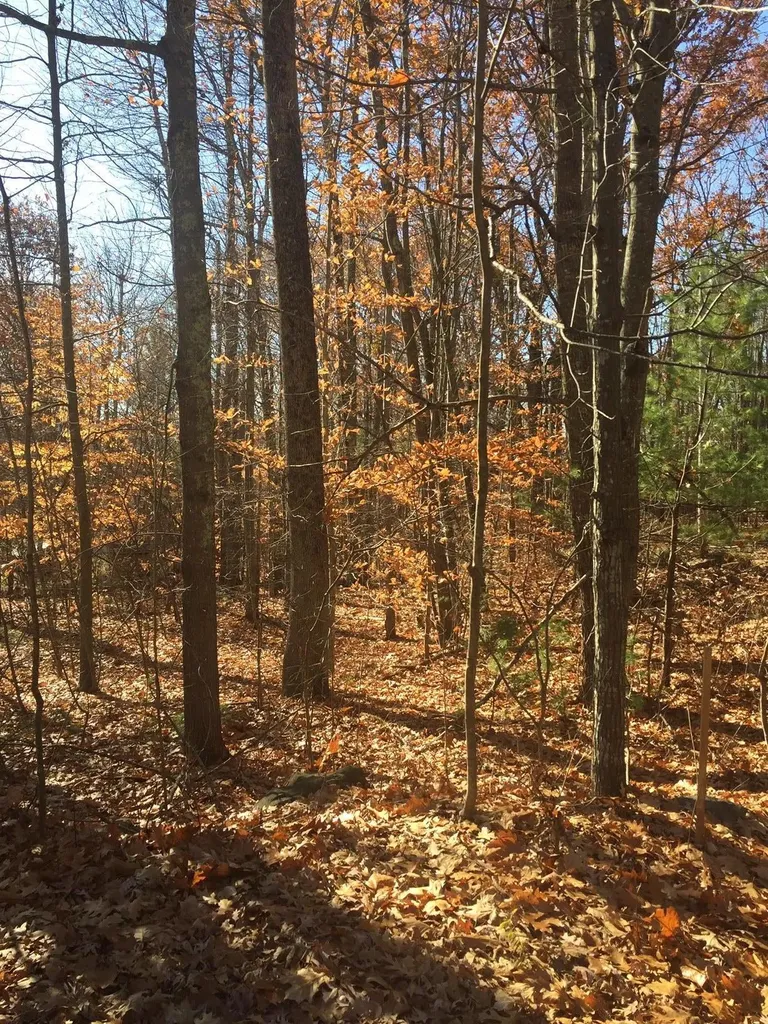 76 Falmouth Road Windham ME 04062