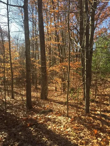 76 Falmouth Road Windham ME 04062
