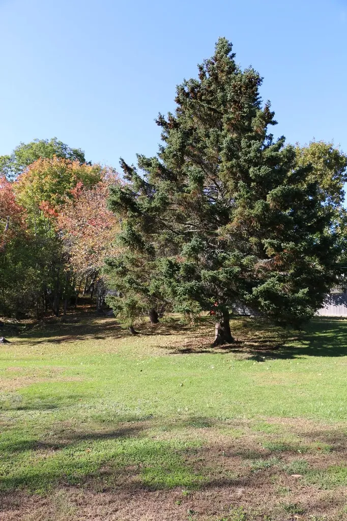 39 Maple Street Ellsworth ME 04605