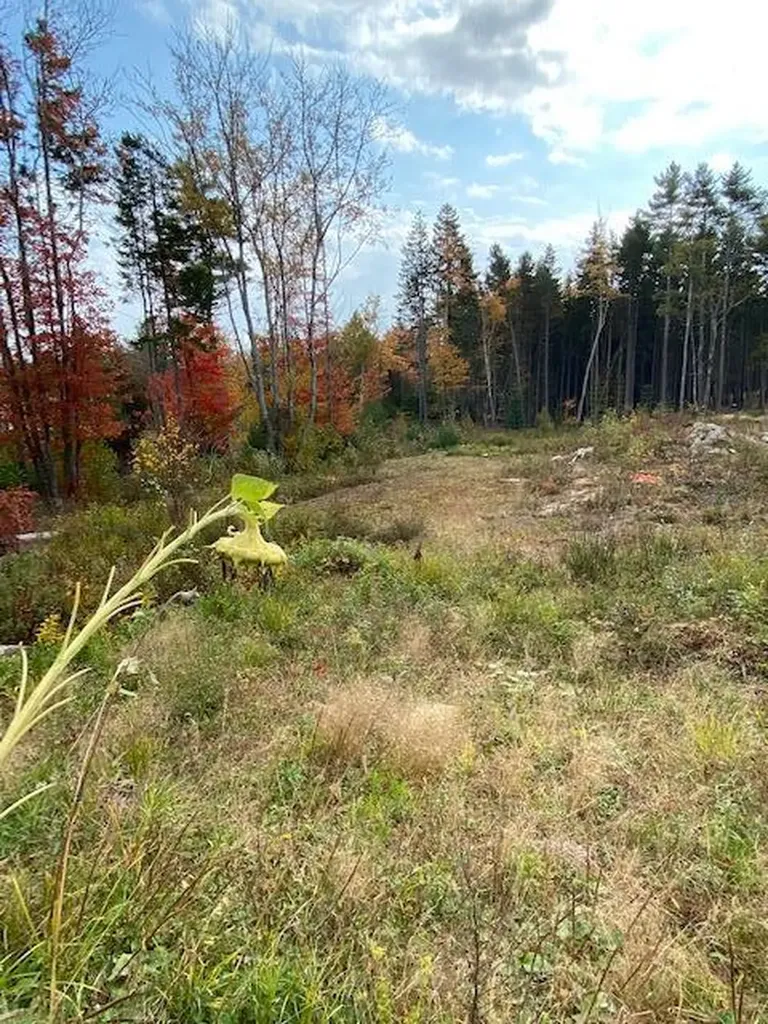 Lot 12-7 Marsh Cove Drive Phippsburg ME 04562