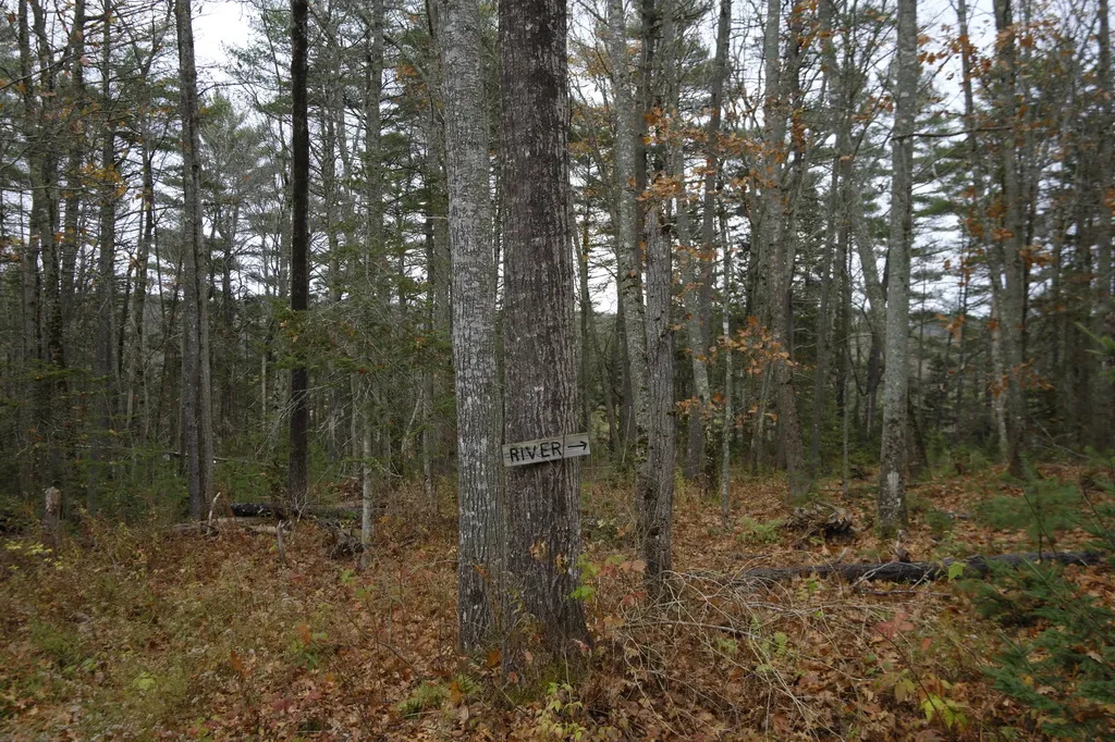 154 Arboretum Park Drive Warren ME 04864
