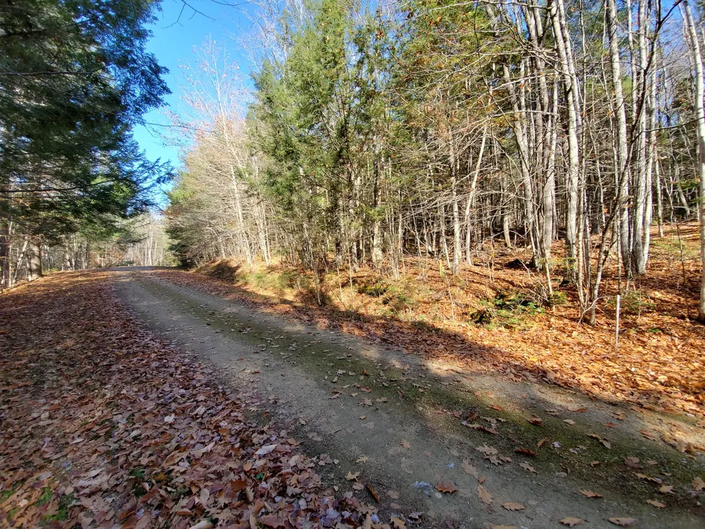 Lot 41 Fernalds Hill Way Stow ME 04037