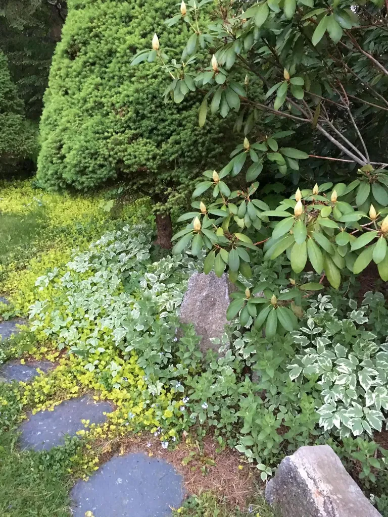 37 Churchill Street Wiscasset ME 04578