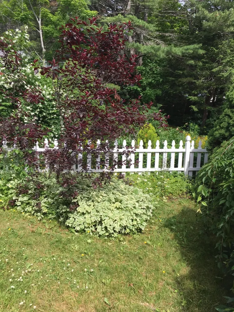 37 Churchill Street Wiscasset ME 04578