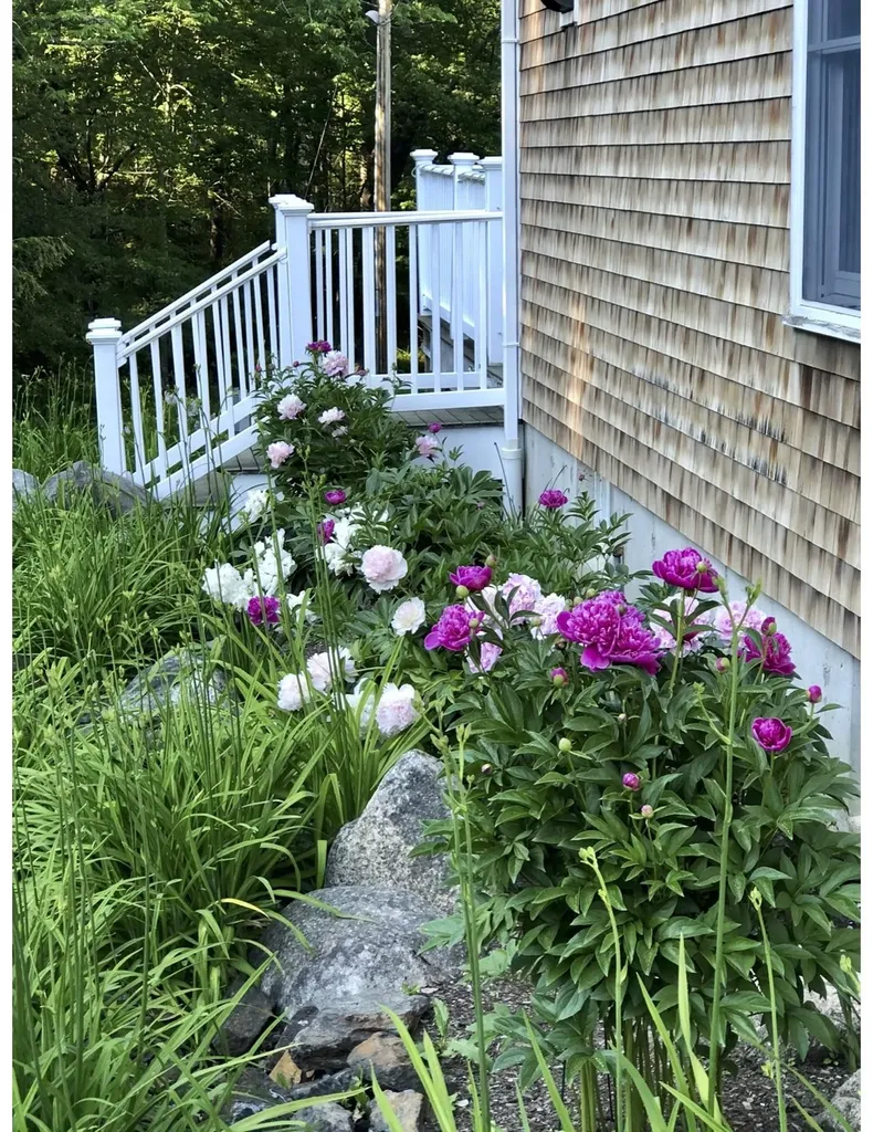 60 Cross Street Rockport ME 04856