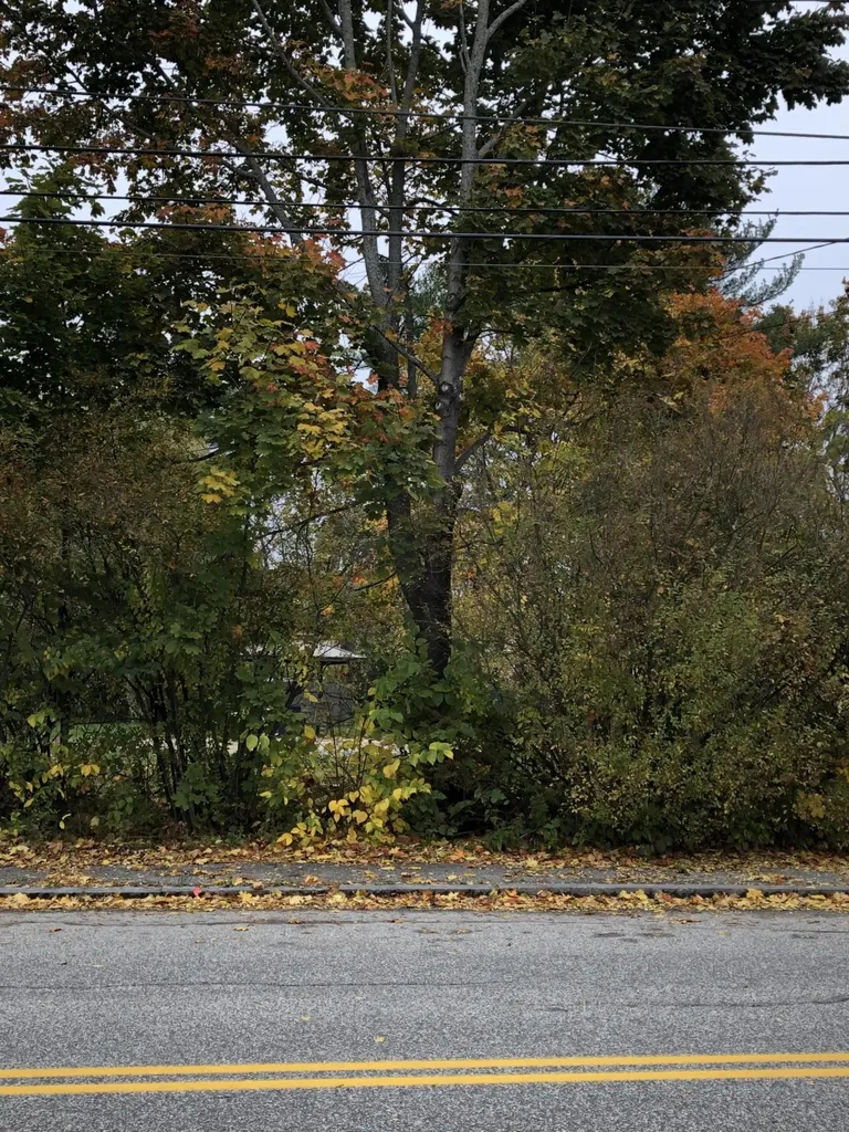 33 Devonshire Street Portland ME 04103