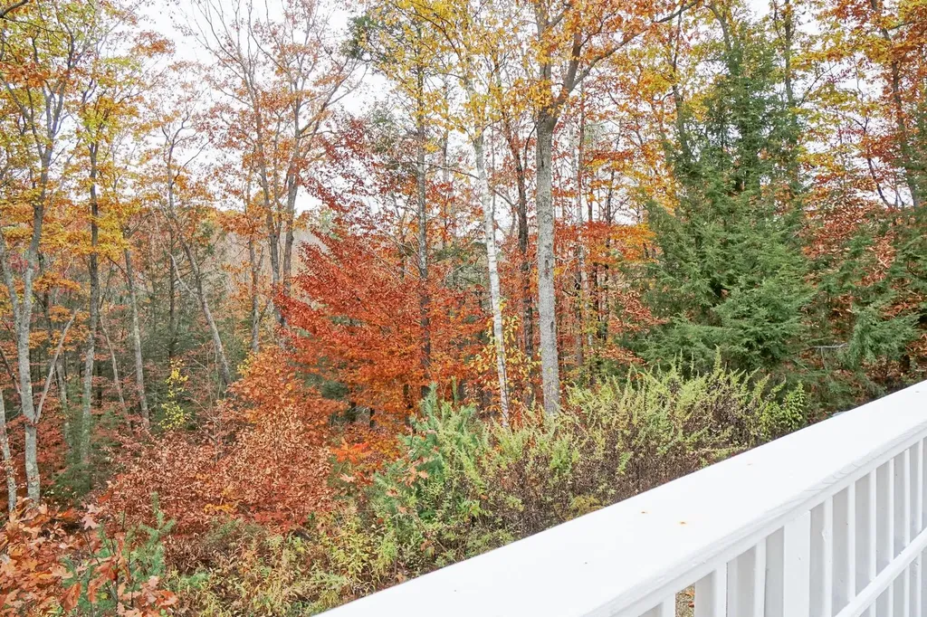 40 Todds Way Phippsburg ME 04562
