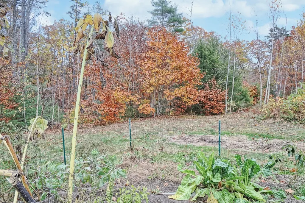 40 Todds Way Phippsburg ME 04562