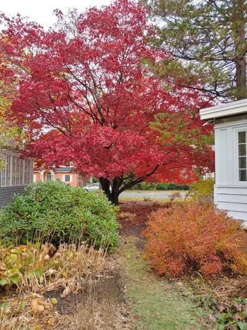 134 Oakdale Street Portland ME 04103