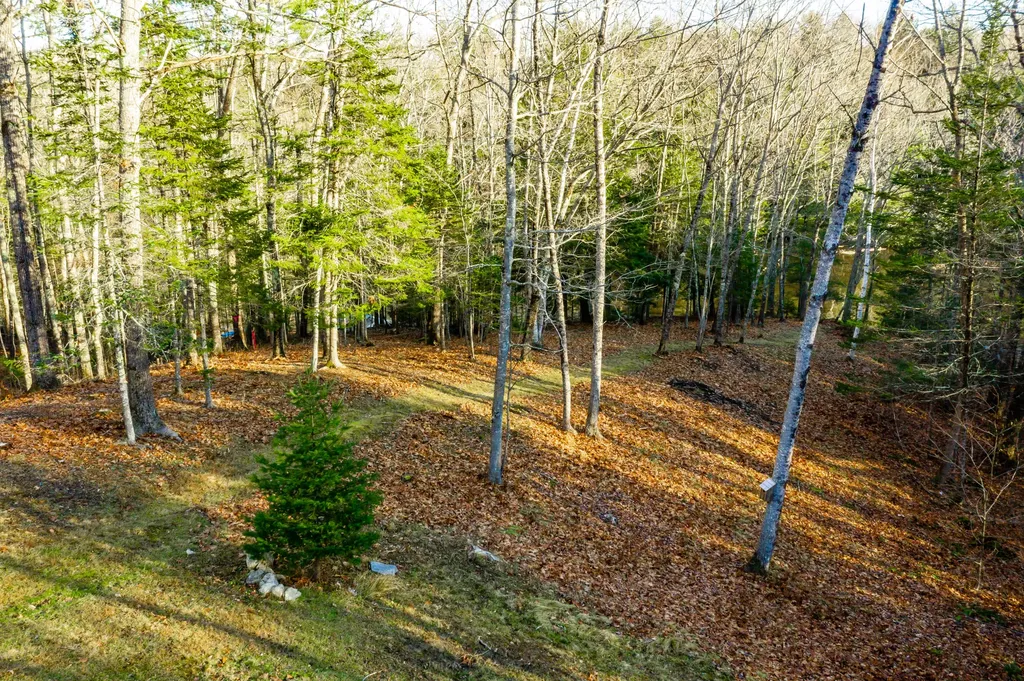 37 Fiddlehead Lane Topsham ME 04086