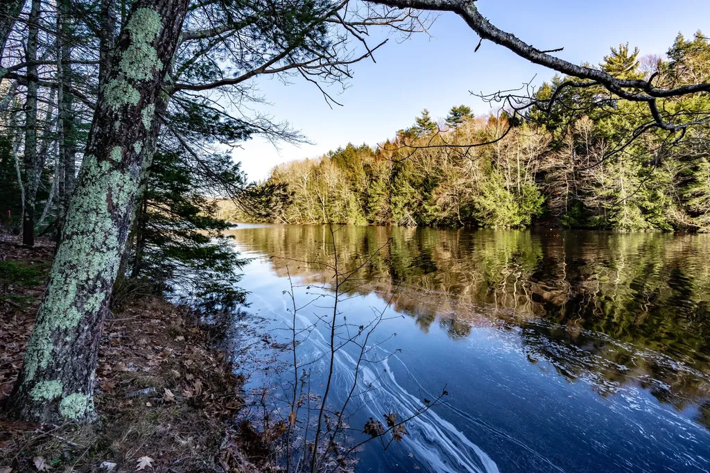 37 Fiddlehead Lane Topsham ME 04086