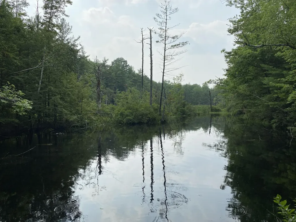 Lot 25 Owls Nest Road Shapleigh ME 04076