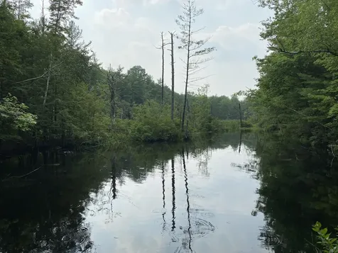Lot 25 Owls Nest Road Shapleigh ME 04076