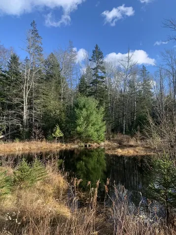 820 Indian Point Road Mount Desert ME 04660