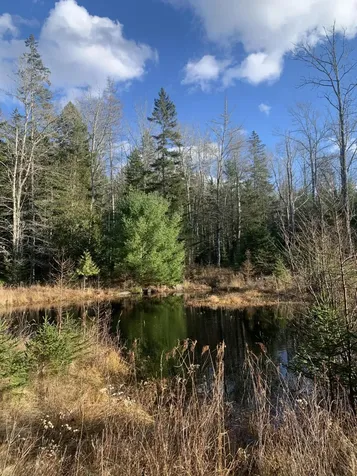 820 Indian Point Road Mount Desert ME 04660