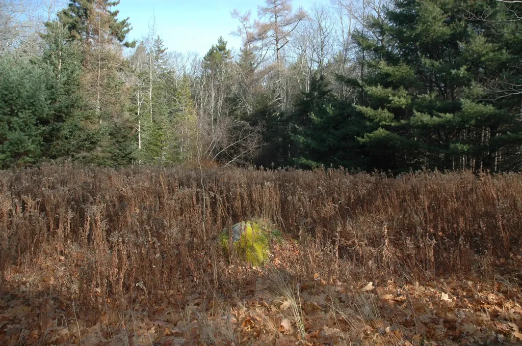 0 Giant Slide Road Mount Desert ME 04660