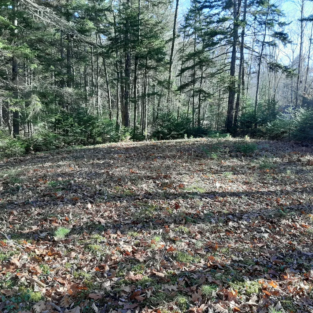 1349 Manktown Road Waldoboro ME 04572