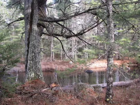 X Off Ccc Road Machias ME 04686