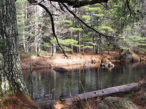 X Off Ccc Road Machias ME 04686