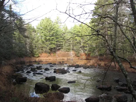X Off Ccc Road Machias ME 04686
