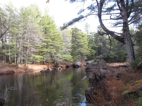 X Off Ccc Road Machias ME 04686
