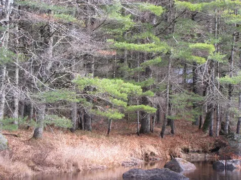 X Off Ccc Road Machias ME 04686