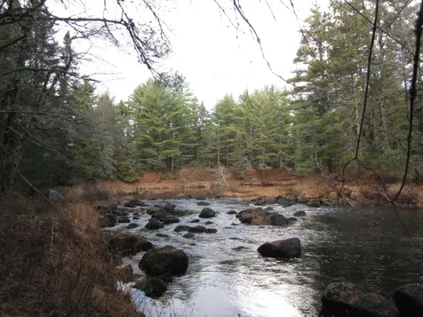 X Off Ccc Road Machias ME 04686