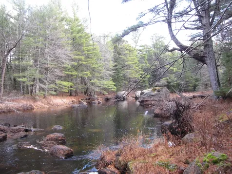X Off Ccc Road Machias ME 04686