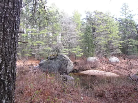 X Off Ccc Road Machias ME 04686