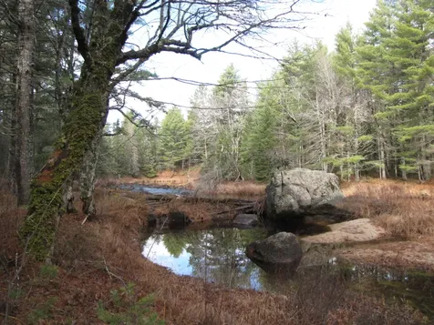 X Off Ccc Road Machias ME 04686