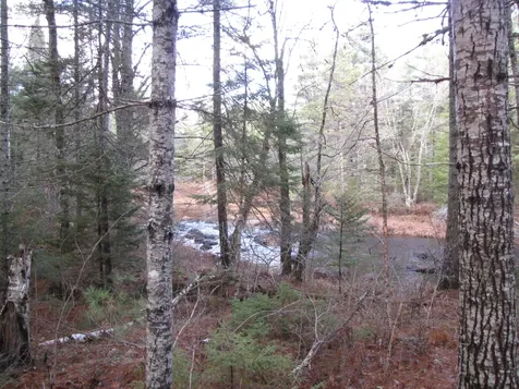 X Off Ccc Road Machias ME 04686