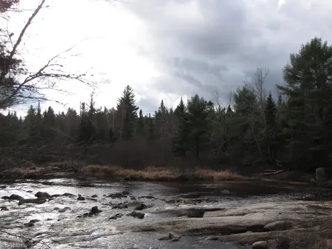 X Off Ccc Road Machias ME 04686