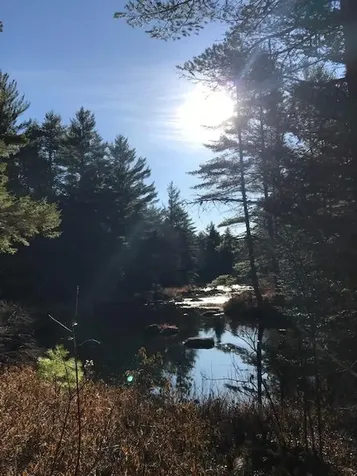 X Off Ccc Road Machias ME 04686