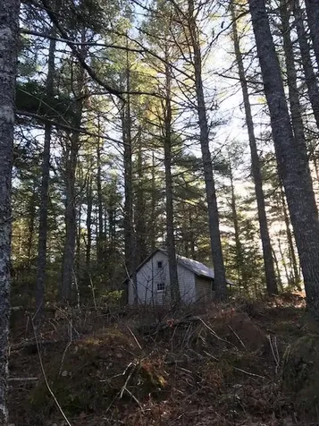 X Off Ccc Road Machias ME 04686