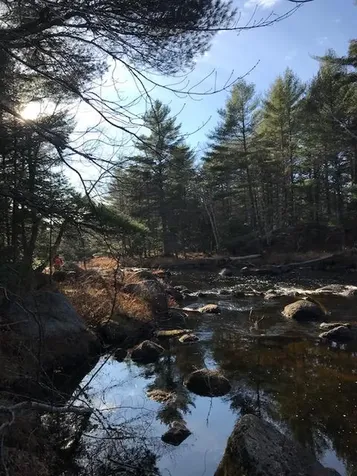 X Off Ccc Road Machias ME 04686