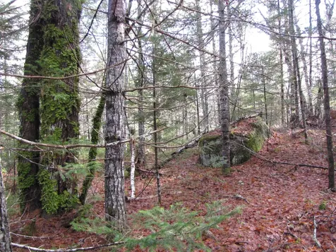 X Off Ccc Road Machias ME 04686