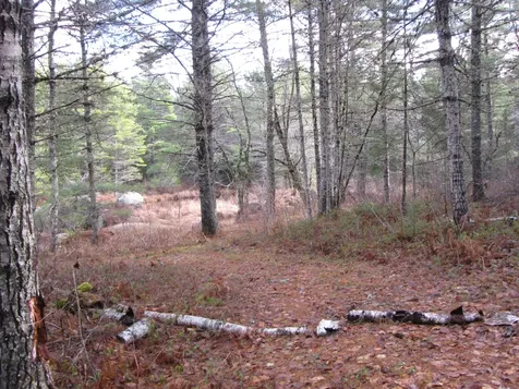 X Off Ccc Road Machias ME 04686
