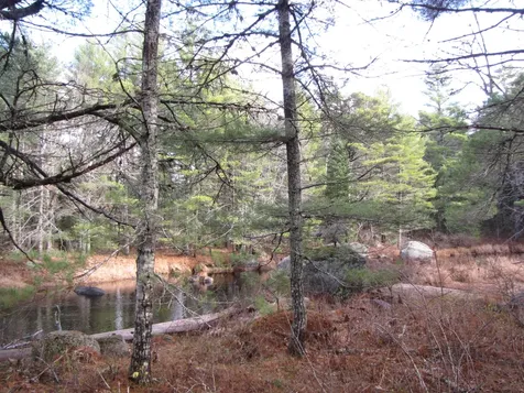 X Off Ccc Road Machias ME 04686