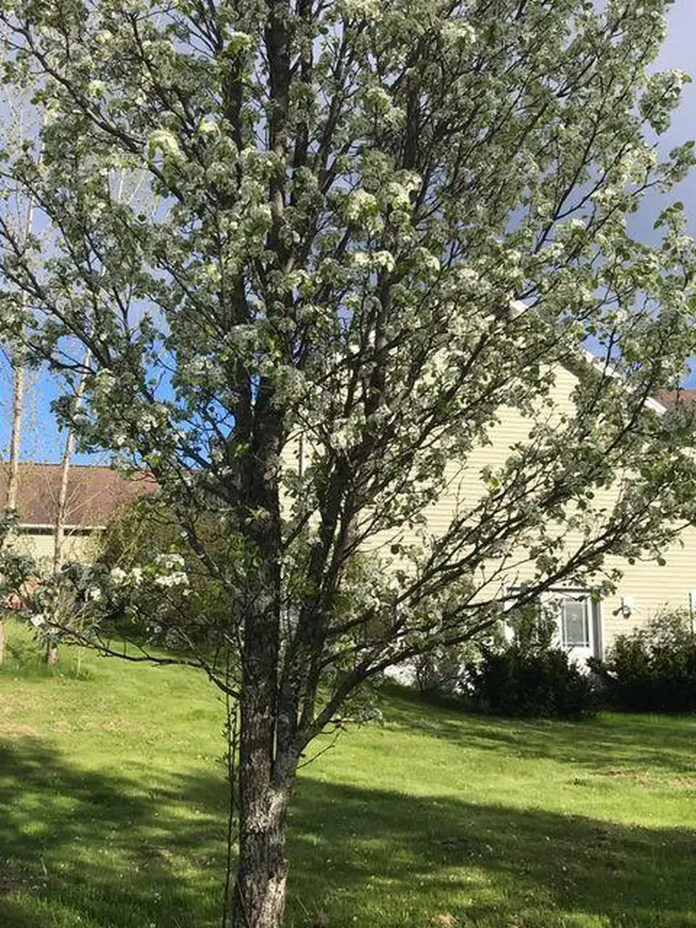 14 Old Meadow Road Lisbon ME 04250