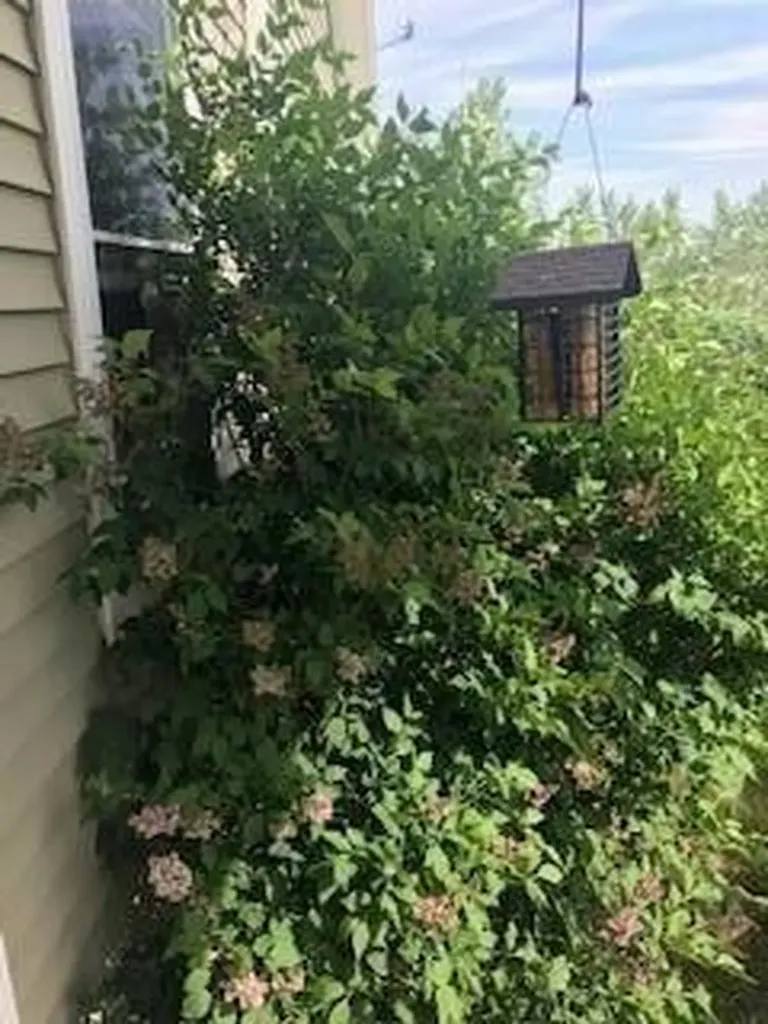 14 Old Meadow Road Lisbon ME 04250