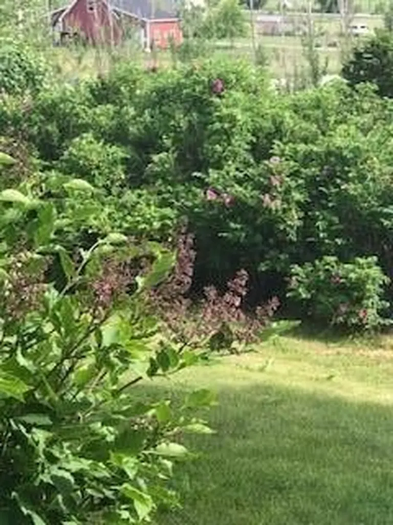 14 Old Meadow Road Lisbon ME 04250