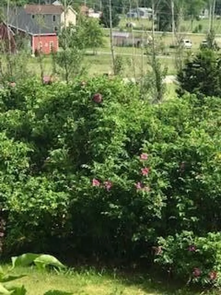 14 Old Meadow Road Lisbon ME 04250