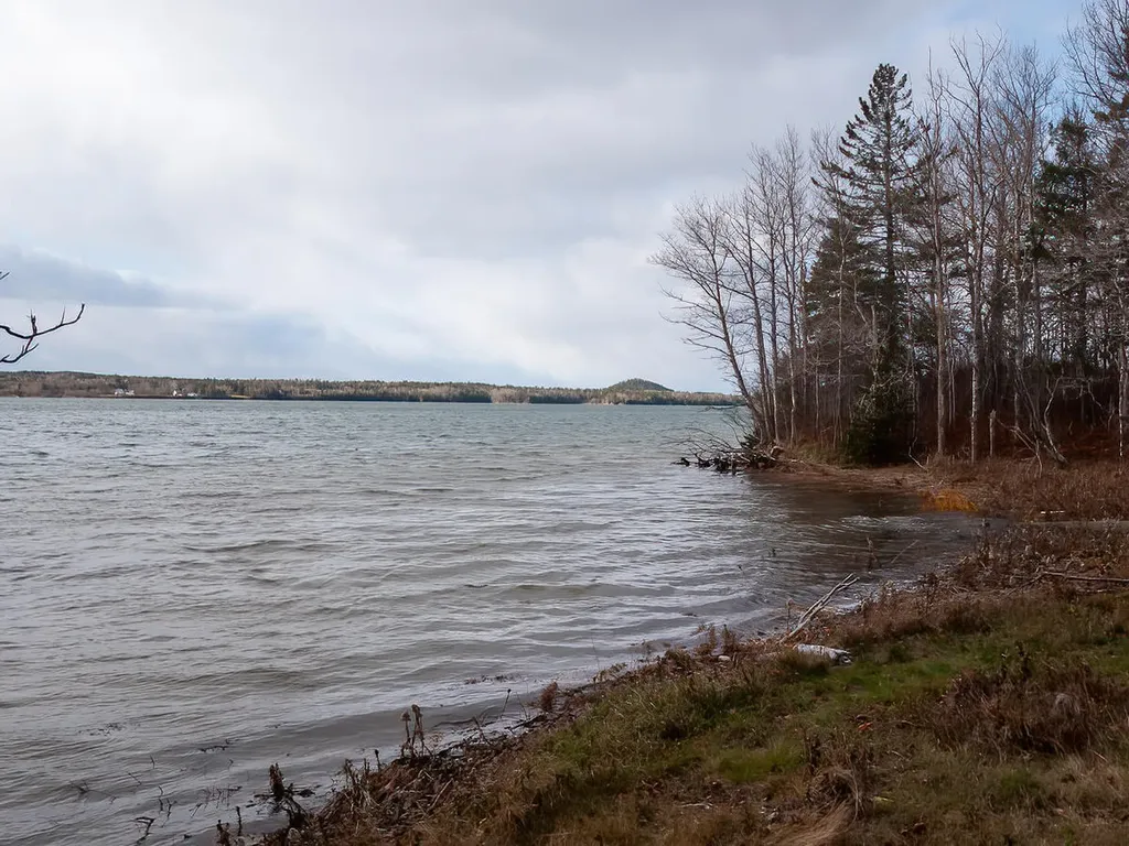 6 Vanasse Road Eastport ME 04631