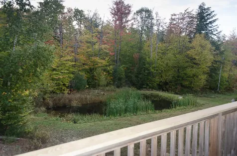 523 Streaked Mountain Road Buckfield ME 04220