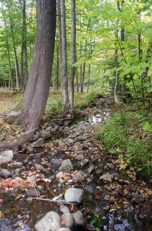 523 Streaked Mountain Road Buckfield ME 04220