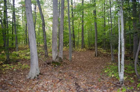 523 Streaked Mountain Road Buckfield ME 04220