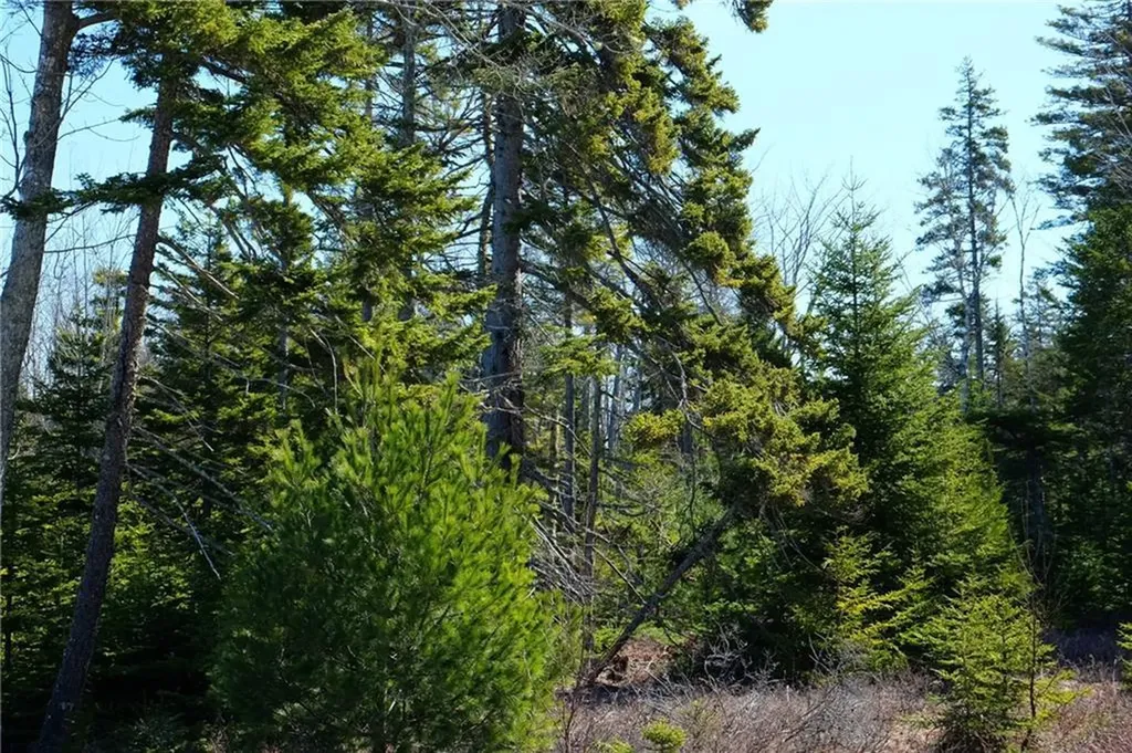 012 Bass Harbor Woods Road Tremont ME 04653
