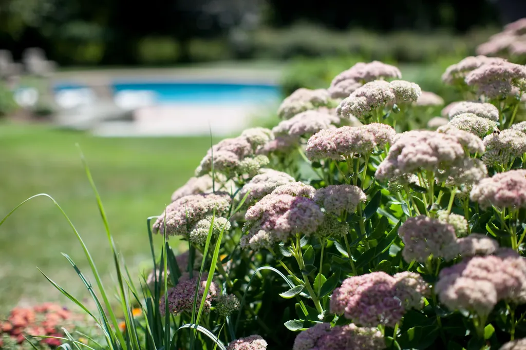 37 Raynes Neck Road York ME 03909