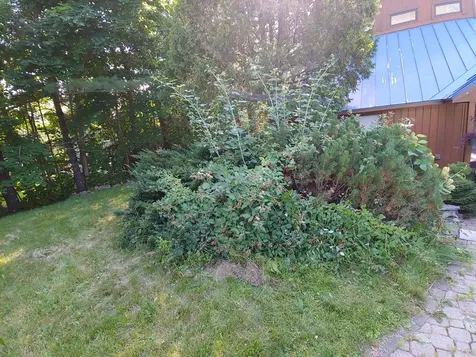 1220 Lakeview Drive China ME 04358